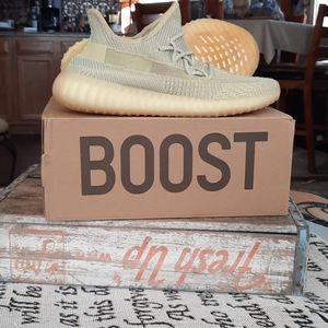 Yeezy Boost 350 Antlia size 13